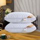 thumbnail image 5 of RKSTN Cotton pillow core Hotel-grade Pillow Core Soft And Supportive Bed Pillow Suitable For Back Side And Stomach Sleepers Made Of-friendly Fabric, 5 of 6