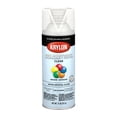 thumbnail image 1 of KRYLON/SHERWIN WILLIAMS KRYLON / SHERWIN WILLIAMS KR5562, 1 of 1