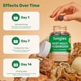thumbnail image 6 of Fungies Best Multi Mushroom Supplement Gummies, Lion’s Mane, Cordyceps & Reishi for Focus, Energy, Immune & Digestion Support, Mixed Berry, 30 Count, 6 of 8