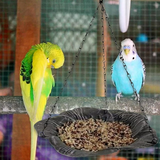Comedero para Pájaros Colgante Sharpla Decoración de Jardín Negro