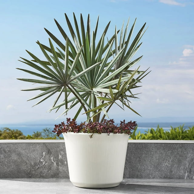 Member's Mark Knoll 22" Round Plastic Planter