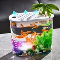 thumbnail image 1 of Pequeño acuario de escritorio, Mini pecera, sistema de acuapónico portátil con mango para sala de estar, jardín, oficina, decoración del hogar Hidroponia Fernando Jarrón transparente, 1 of 8