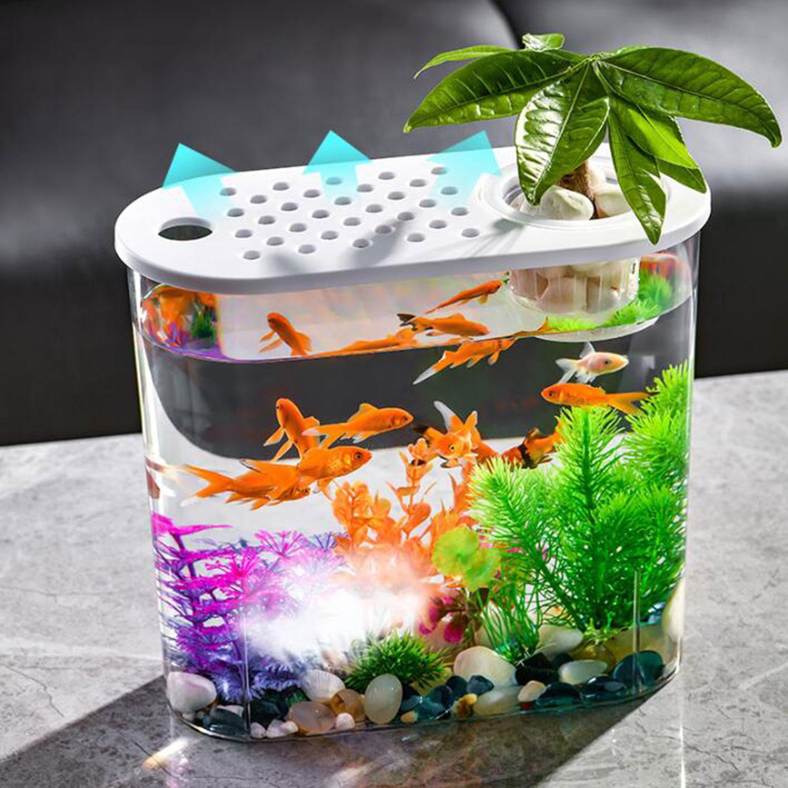 Aquarium mini portable orders