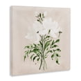 thumbnail image 2 of Stupell Industries Coastal White On Tan Floral Canvas Art, 24 x 24, by Lucille Price, 2 of 8