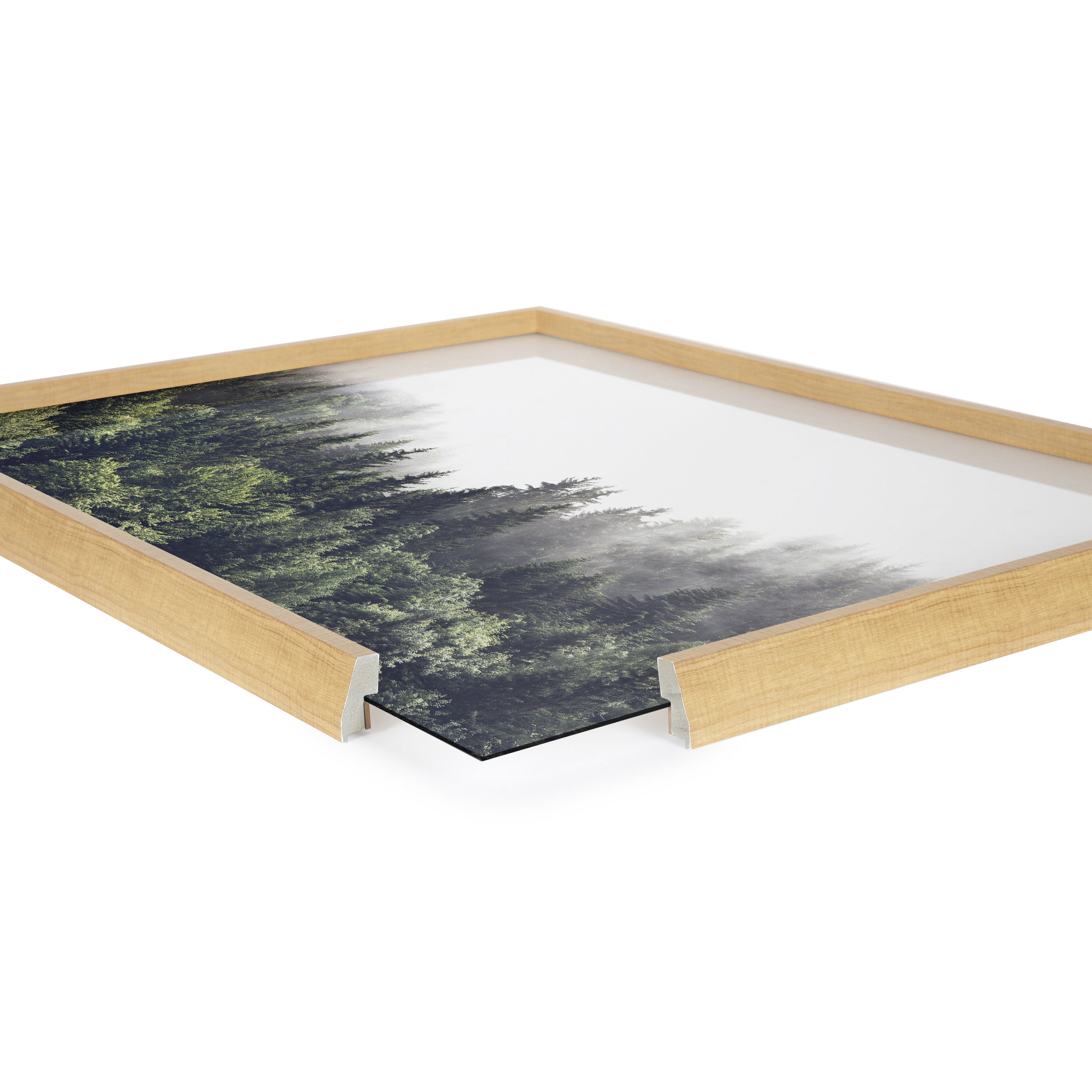 Blake Lush Green Forest on a Foggy Day 24 in x 18 in Framed Photography Art Prints, by Kate and Laurel