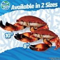 thumbnail image 2 of Real Planet 10" Red Crab Realistic Stuffed Animal, Marine Sea Life Plush Toy & STEM Learning Gift for Birthday Boys & Girls, 2 of 7
