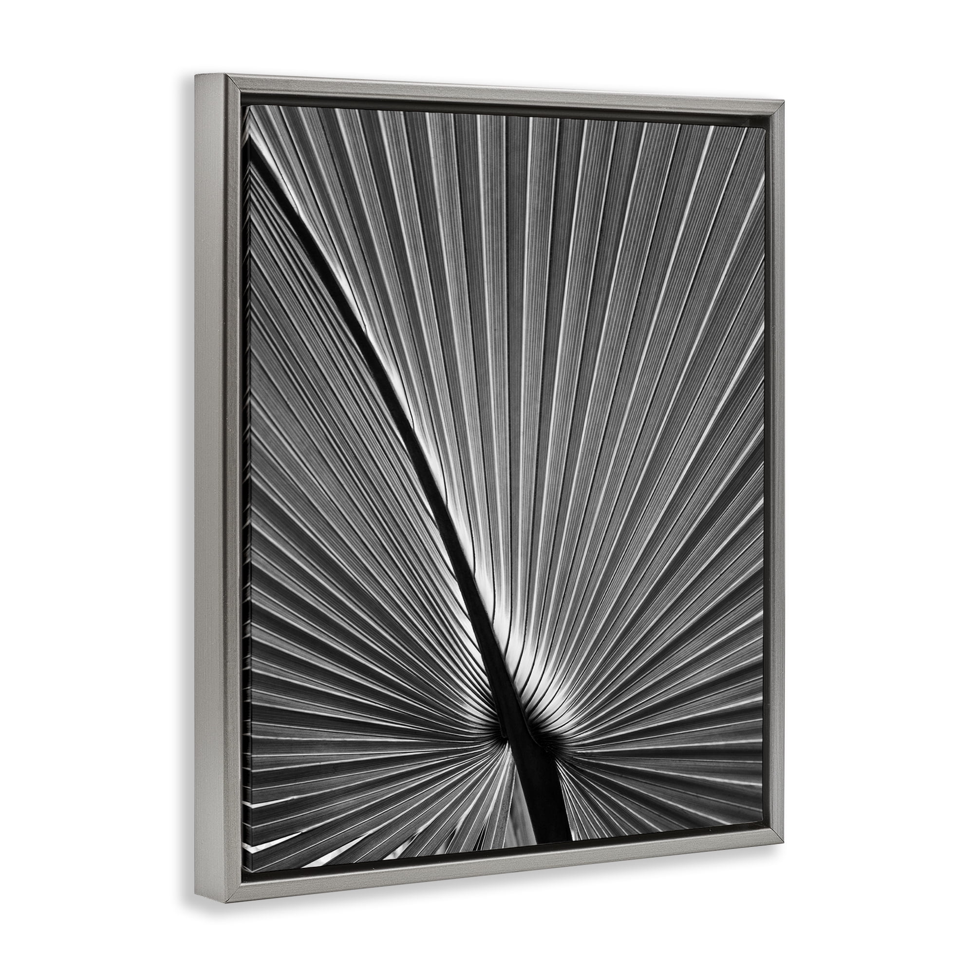 Stupell Industries Palm Frond Detail Botanical & Floral Photography Gray Floater Framed Art Print Wall Art, 25 x 31