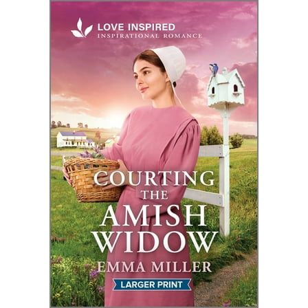 Delaware Amish Brothers Courting the Amish Widow: An Uplifting Inspirational Romance, Book 1, (Paperback)
