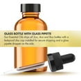 thumbnail image 5 of Sun Essential Oils 4oz - Lemon Essential Oil - 4 Fluid Ounces, 5 of 7