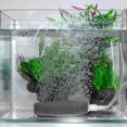 thumbnail image 3 of Bubble Aerator, Stone Aerator Gray Hydroponic Bubble Stone Aerator, For Aquarium, 3 of 8
