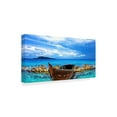 thumbnail image 2 of Trademark Fine Art 'Nature Collection 25' Canvas Art by Ata Alishahi, 2 of 3