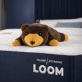 thumbnail image 4 of Colchón Spring Air Individual Loom | Memory Foam De Alta Densidad | Sleep Fitness | Firmeza Media | Funda Hipoalergénica Air Cover | Soporte Ergonómico, 4 of 8