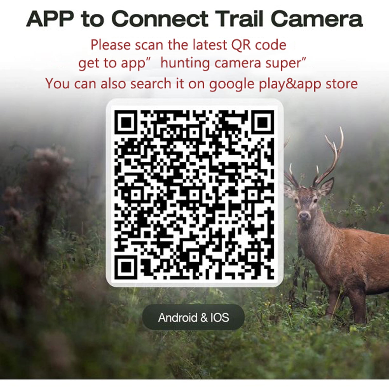 CAMPARK WiFi Trail Camera 42MP 4K LITE Game Camera with Infrared Nigh Vision Motion Activated Waterproof IP66 with 2.4″LCD Hunting Trail Cam 120°Wider Detection Angle for Wildlife Monitoring