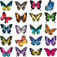 thumbnail image 1 of 40 Pieces Large Size Butterfly Window Clings Anti-Collision Window Clings Decals to Prevent Bird Strikes on Window Glass Non Adhesive Vinyl Cling Butterfly Stickers Cling Decor, 1 of 4