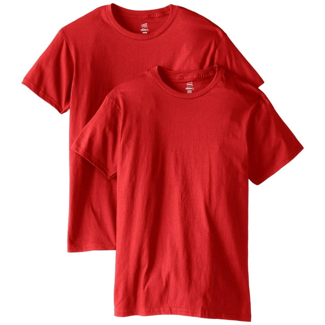 Hanes T-Shirt à Col Rond en Coton Ringspun Nano-T pour Hommes, Lot de 2
