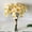 White, variant on Specollect 6 Pcs Artificial Silk Flower Bouquet for Wedding Home Decor, Realistic Fake Flowers for Vase Centerpiece, White Yellow Floral Arrangement