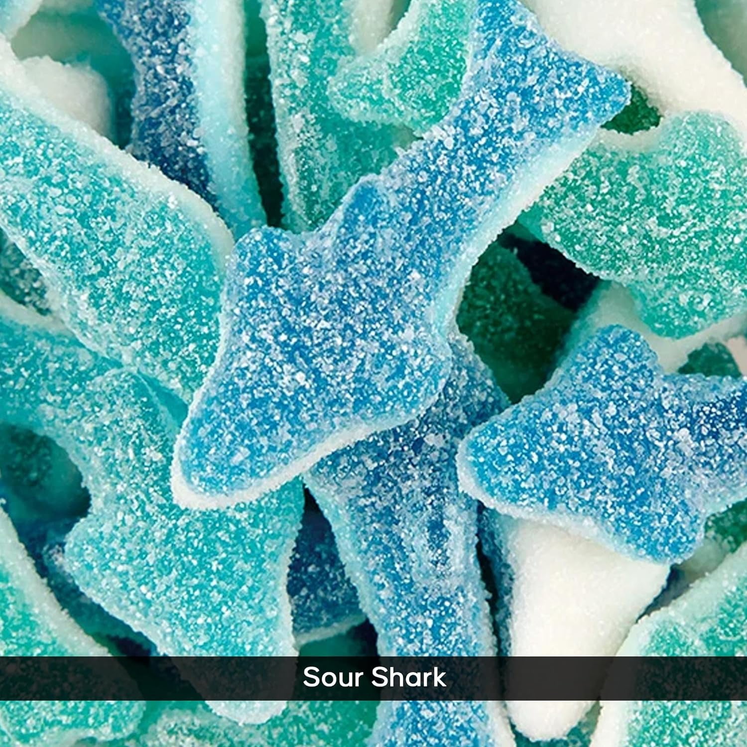 NY Spice Shop Gummy Sour Sharks - 3 Pound - Gummy Candies - Gummy Candy - Movie Snacks - Candy Gummies