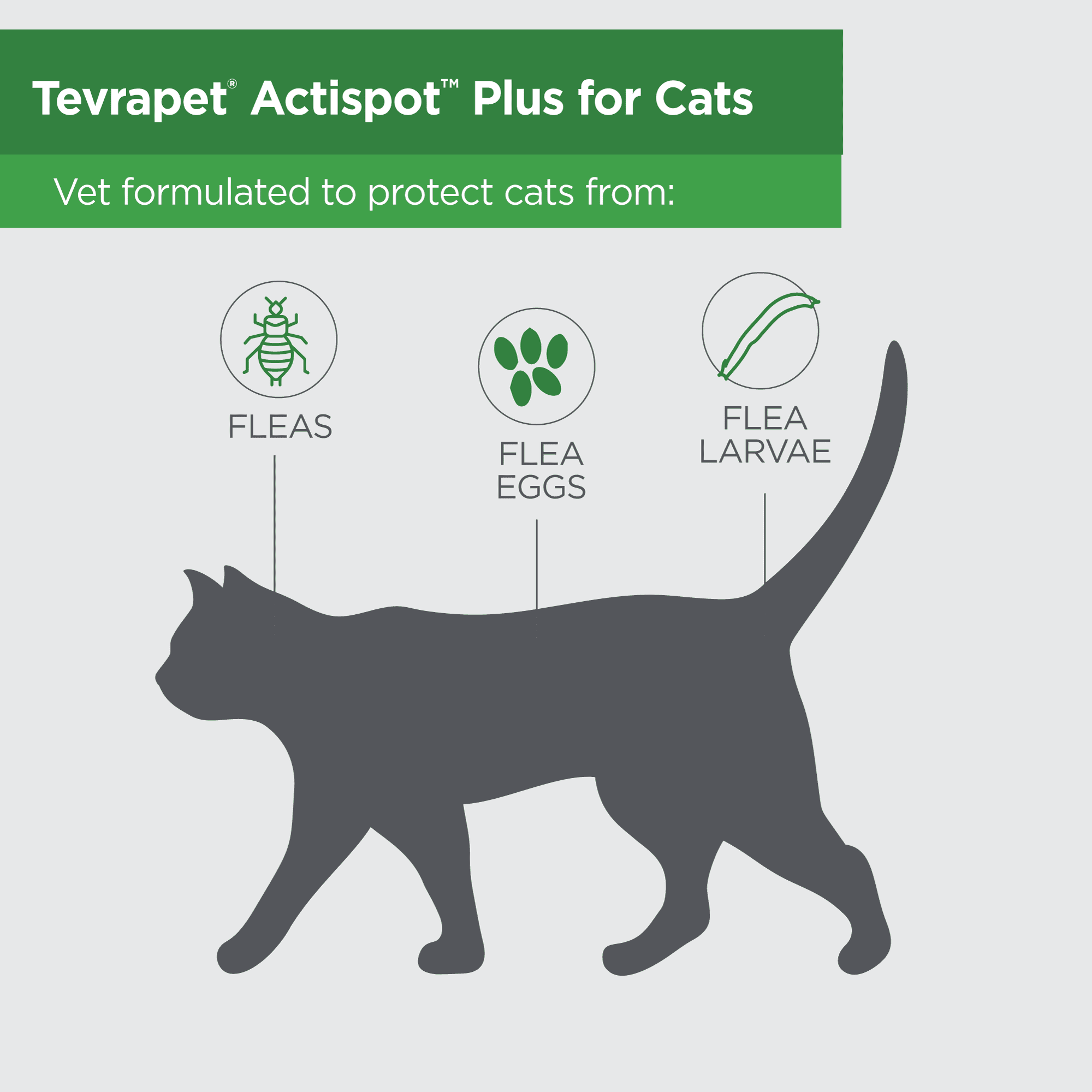 TevraPet Actispot II Flea Treatment for Large Cats 9+ lbs, Monthly Topical, 6 Count