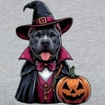 thumbnail image 3 of CafePress - Costumed Pitbull Halloween Women's Baseball T Shirt - Womens Baseball Tee, 3 of 4