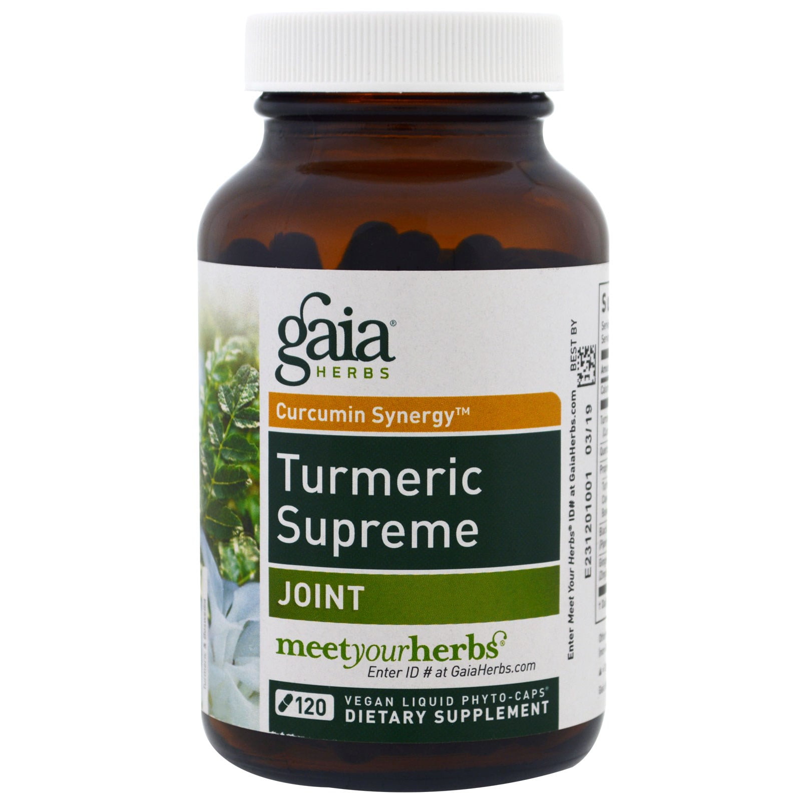 Gaia Herbs, Turmeric Supreme, Joint, 120 Vegan Liquid PhytoCaps