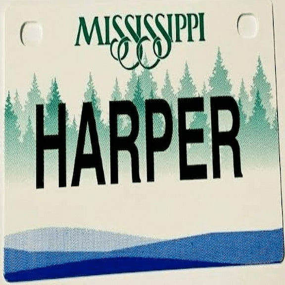 Harper Mini Bike Plate Add On Accessory