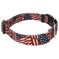 thumbnail image 4 of Country Brook Petz® Patriotic Tribute Everyday Dog Collar and Leash, Extra Small, 4 of 6