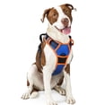 thumbnail image 1 of Arnés para perros Rabbitgoo, sin tirón, ajustable para perros grandes, 1 of 7