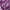 Purple, variant on 10 Pcs Artificial Glitter Berry Stems, 15.7 Inch Artificial Christmas Tree Picks, Decorative Glitter Berry Long Stems, for Christmas Tree DIY Wreath Crafts Holiday Home Decor(White)