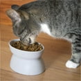 thumbnail image 3 of FUTUREORYY White Cat Feeding Container 2Pcs with Anti-Tip and Easy Cleaning for Pet Owners, 3 of 8