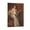 Frame-style, variant on Posters for Bedroom Conrad Kiesel Oil Painting Gifts Canvas Painting Poster Wall Art Decorative Picture Prints Modern Decor 12x18inch(30x45cm)