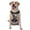 With Accessories, variant on Vsdgher Colorful Haired White Horse Pattern Dog Harness,No Pull Pet Harness with Soft Padded Handle,Adjustable Reflective Vest with 2 Buckles,4 Slide Buckles,S-XL Large
