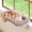 Natural Color Wood w/ Brown Bed, variant on Cat Window Perch with 4-Sided Bolster - Orthopedic Cat Hammock for Window Sill - Solid Hardwood & Metal Frame - Window Seat for Pets (Medium)