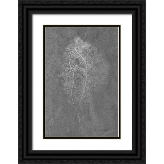 Murdock, Ramona 11x14 Black Ornate Wood Framed with Double Matting Museum Art Print Titled - Fern Algae Silver on Black