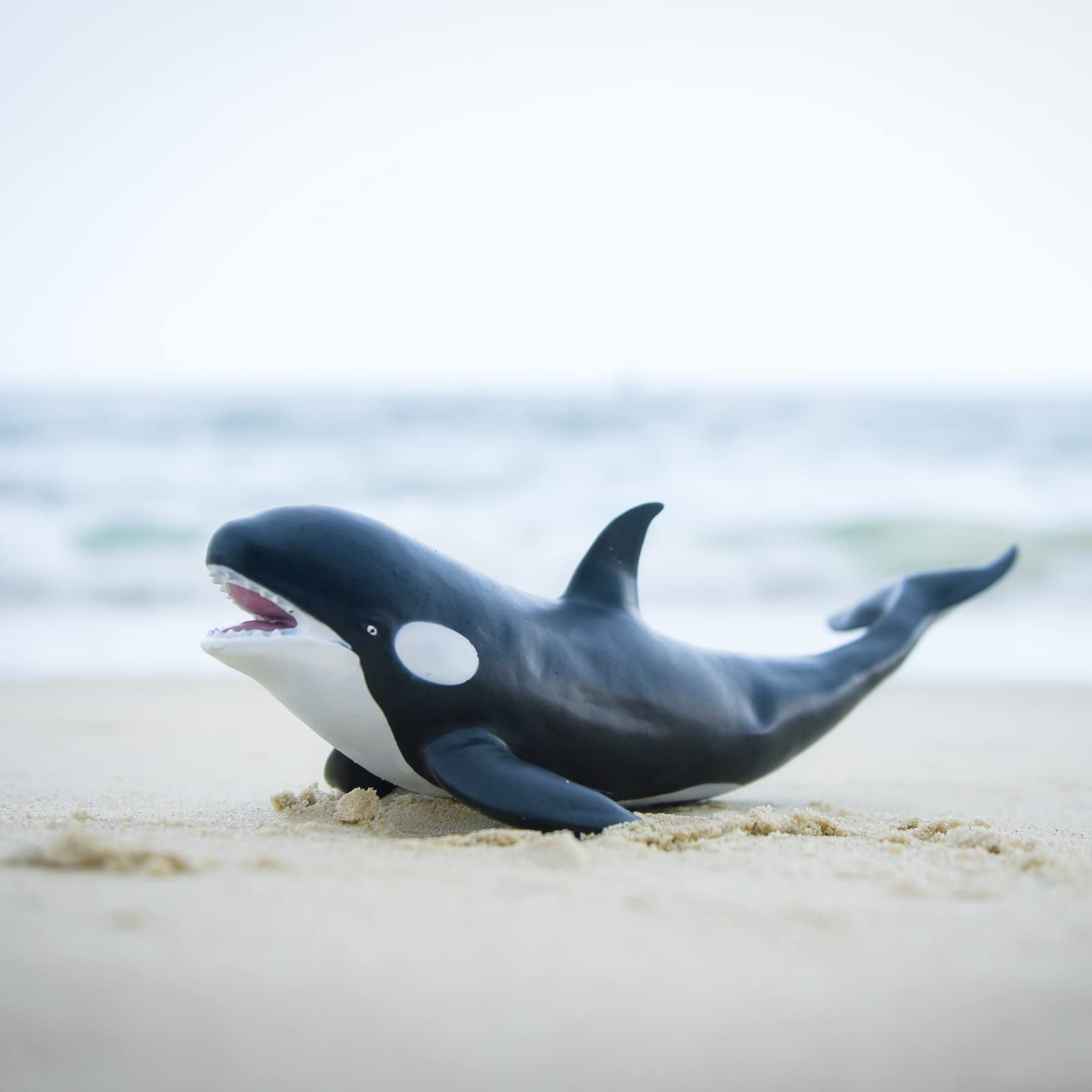 フェニックス　DIGENITE THERMO ORCA SHELL フェニックスDIGENITE THERMO ORCA SHELL