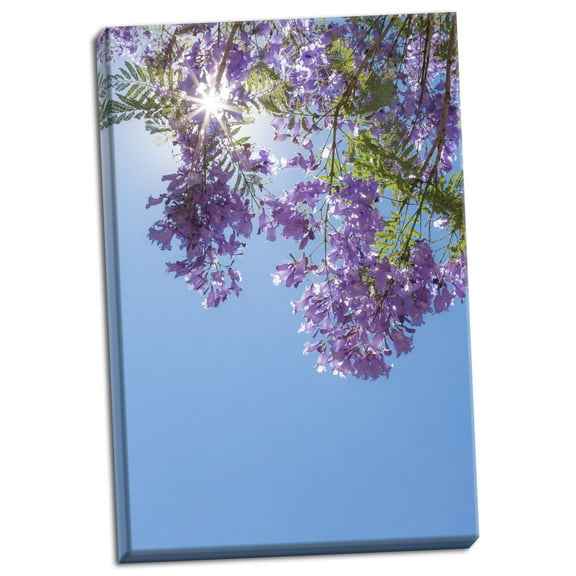 Gango Home Decor Jacaranda Tree I by Kathy Mahan (Ready to Hang); One 24x36in Hand-Stretched Canvas