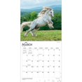 thumbnail image 3 of Horse Lovers 2023 Square, 3 of 8