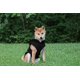 thumbnail image 4 of Suéter para perros, chaleco polar JACKO & CO, suave y cálido para perros de tamaño mediano, 4 of 8