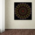 thumbnail image 3 of Trademark Fine Art 'Kaleidoscope Mandala' Canvas Art by Delyth Angharad, 3 of 3