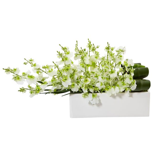 Dancing Lady Orchid in Rectangular Ceramic, Green