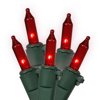 Vickerman 50 Red Dura-Lit Light on Green Wire, 23' Christmas Light Strand