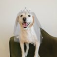 thumbnail image 4 of KAKOWELY Corona para mascota, velo de novia, velo de novia, decoración para el pelo de mascota, adorno de boda para mascota, 4 of 5
