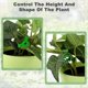 thumbnail image 5 of Dobladora de Clips para Plantas, 5 of 5