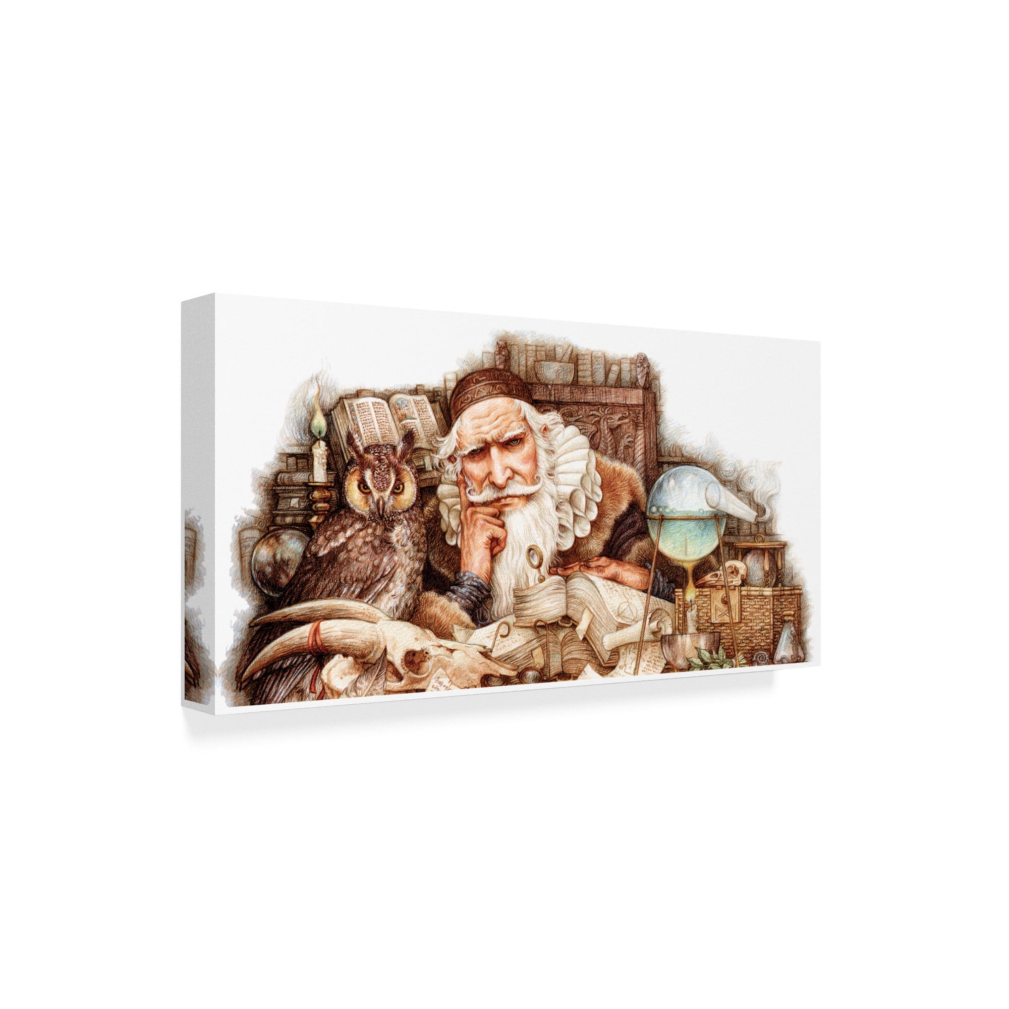Trademark Fine Art 'Wizardology' Canvas Art by Anne Yvonne Gilbert