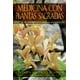 thumbnail image 1 of Libro Medicina Con Plantas Sagradas: La Sabiduria Del Herbalismo De Los Aborigenes Norteamericanos Tapa Blanda, Autor Stephen Harrod Buhner, Editorial Iti En Español, 1 of 2