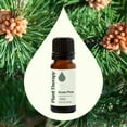 thumbnail image 3 of Plant Therapy Scots Pine Essential Oil 10 mL (1/3 oz) 100% Pure, Undiluted, Therapeutic Grade, 3 of 8