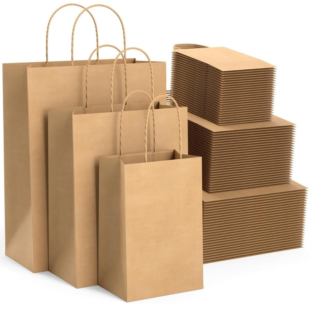 BAGKRAFT Brown Paper Bags with Handles Pack of 75 Recyclable Kraft
