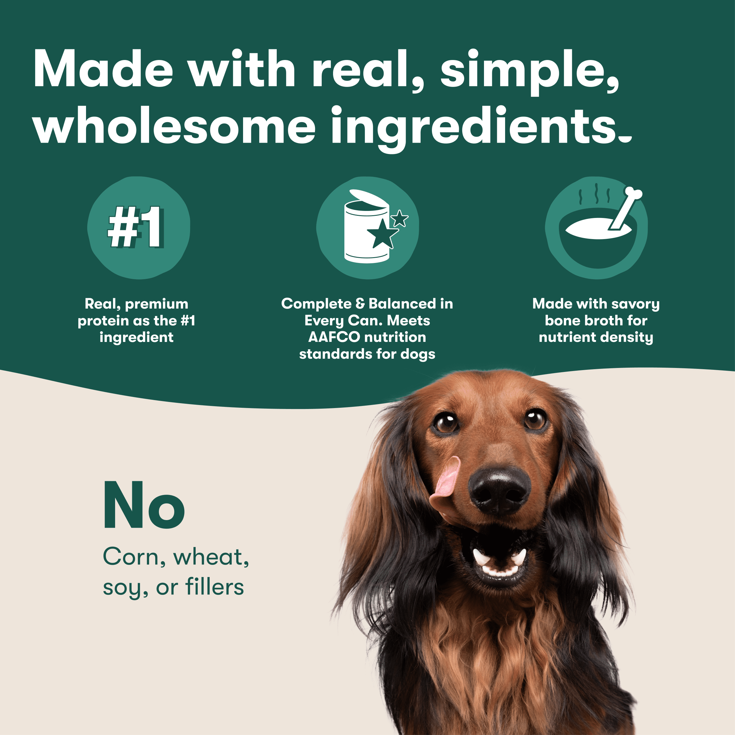 (6 pack) Jinx Pate with Chicken & Vegetables Natural Wet Dog Food, Grain Free, 13 oz Can