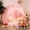 pink, variant on SweHouse Kids Tent with Star Lights & Play Mat, Large Indoor Playhouse with Decorative Flags, Portable Toddler Canopy Bed for Playroom, Gift for Boys & Girls (Pink)