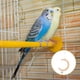 thumbnail image 4 of unbranded De Madera Multifuncional Para Loros Accesorios De Jaula Para Pájaros, 4 of 8
