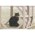 thumbnail image 2 of TRIXIE natura Weatherproof Wooden Cattery with 3 Perches, 44L x 70.9W x 31.5H, Gray, 2 of 9